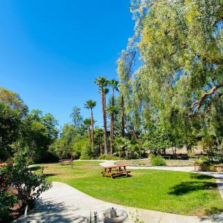 A sunny day in the park with lush greenery and a picnic table under clear blue skies.