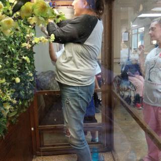 A person tending to plants inside a glass-enclosed area, while another individual observes.