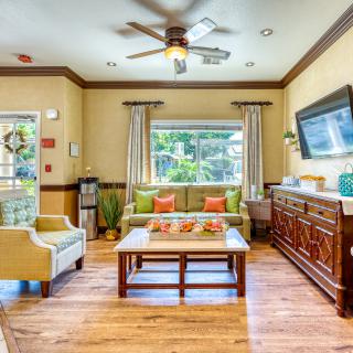 A cozy living room featuring comfortable seating, a coffee table, and a television, all complemented by natural light streaming through the window.