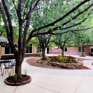 A serene courtyard with trees and landscaped garden.