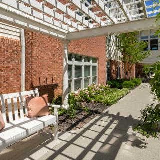 A peaceful garden setting with a white bench under a pergola, casting intricate shadows on the walkway.