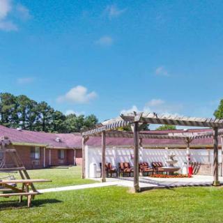 A serene outdoor dining area with a pergola, inviting guests to enjoy a meal in the sunshine.