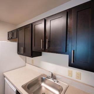 A modern kitchen featuring dark cabinetry and a clean sink area.