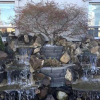 A small waterfall cascading over rocks with a tree on top.