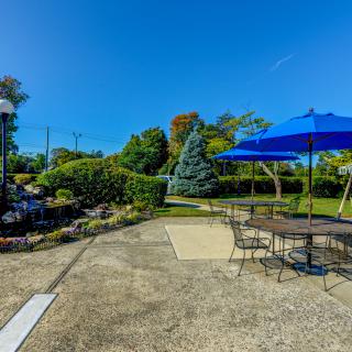 A sunny patio with outdoor furniture and a blue umbrella, surrounded by a landscaped garden.