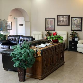 A cozy waiting room with comfortable seating and decorative plants.