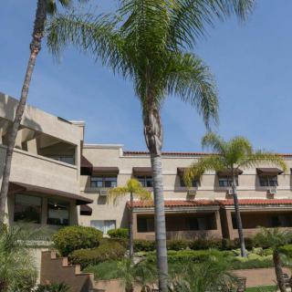 A sunny day view of a modern building surrounded by palm trees.