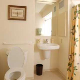 A clean bathroom with a toilet, sink, and shower curtain.