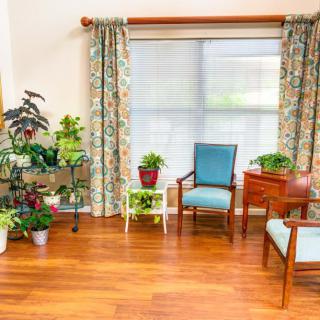 A cozy living room with wooden flooring, adorned with indoor plants and comfortable seating.