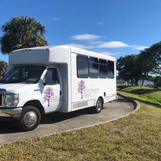 A white bus parked in a scenic outdoor location with palm trees and blue skies.