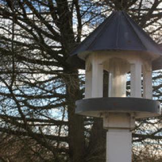A birdhouse stands in front of leafless trees and a clear sky.