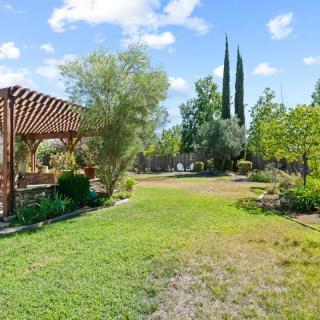 A spacious garden with a wooden pergola, surrounded by lush greenery and trees under a sunny sky.