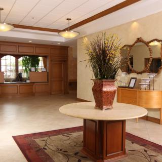 A well-decorated lobby with a central table and potted plant, reception area in the background.