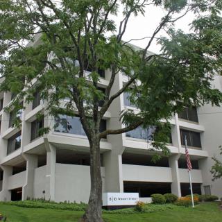 A modern office building partially obscured by a large tree.
