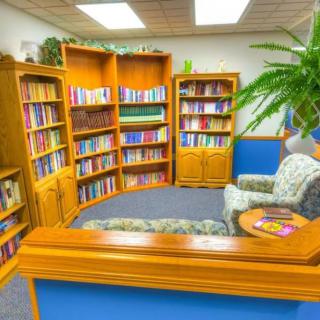 A cozy library corner with bookshelves, an armchair, and a potted plant.