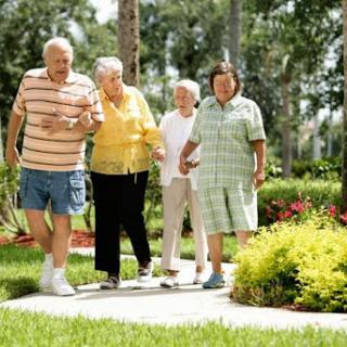 A group of elderly friends enjoying a sunny day while walking in a park.