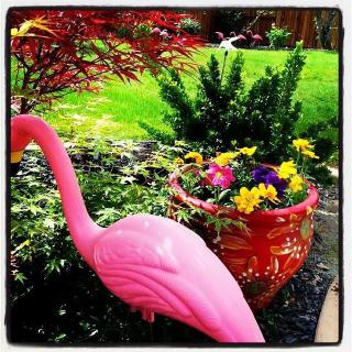 A vibrant garden scene featuring a pink flamingo and colorful flowers.