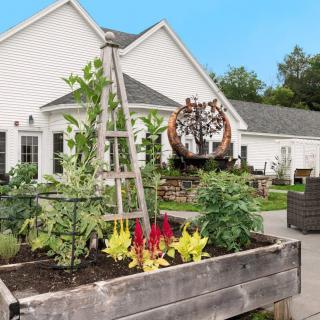 A lush vegetable garden in a raised bed outside a house.