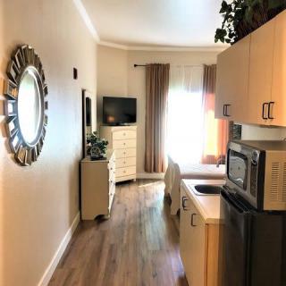 A cozy, modern living space with a small kitchen and stylish decor.
