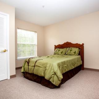 A simple bedroom with a green bedspread and natural light coming through the window.