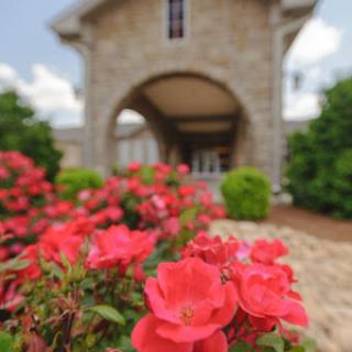 A beautiful garden of red roses in front of a stone building.