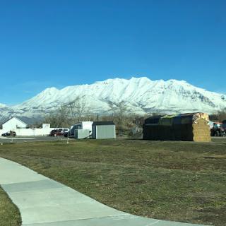 A picturesque view of snow-covered mountains under a clear blue sky, framed by grassy fields and a winding pathway.