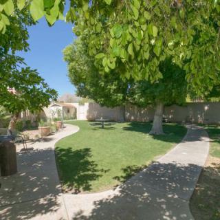 A serene garden area with lush trees and a winding pathway.