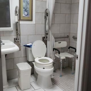 An accessible bathroom with a toilet, sink, shower chair, and grab bars.