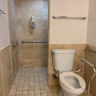 A bathroom with a toilet and accessible shower area.