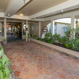 A covered entrance with terracotta pavers, surrounded by plants.