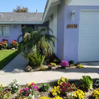 A suburban house with a well-maintained garden featuring colorful flowers and neatly trimmed bushes along the driveway.
