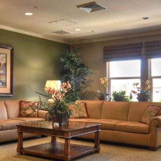A cozy and elegant living room with a large sofa, wooden coffee table, decorative plants, and wall art.