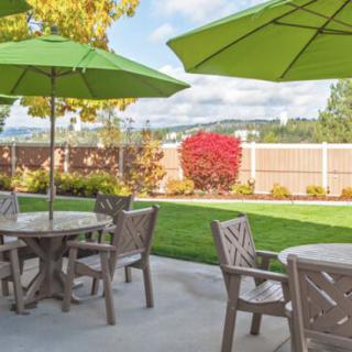 A serene outdoor patio with green umbrellas and seating, surrounded by a lush garden.