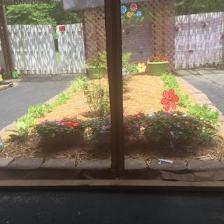 A vibrant garden filled with various flowers and plants, seen through a window.
