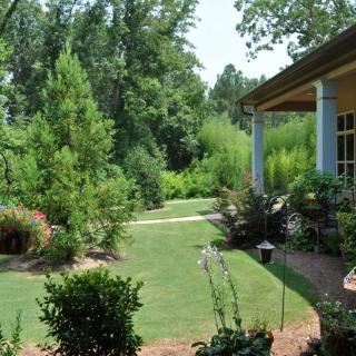 A beautifully landscaped garden with lush greenery and a well-maintained lawn.