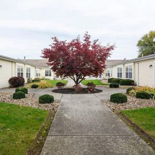 A landscaped courtyard with a central red-leaved tree, surrounded by bushes and a stone pathway.