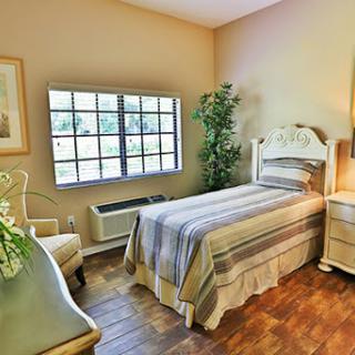 A cozy and well-lit bedroom featuring a single bed, bedside table, and a decorative plant.