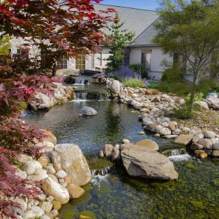 A beautifully landscaped garden with a serene pond and various plants, featuring a water feature flowing over rocks.