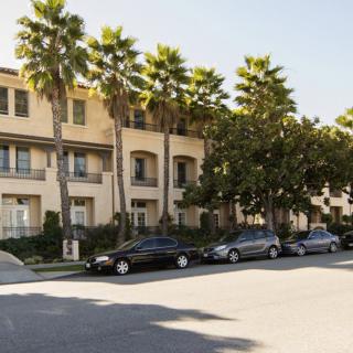Street view of a residential building lined with palm trees and parked cars on a sunny day.