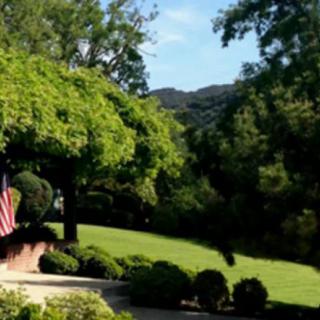 A peaceful landscaped garden with lush greenery and a flag.
