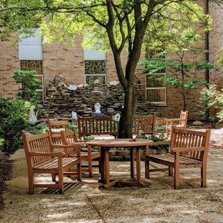 A serene garden patio with wooden chairs and a table under a leafy tree.