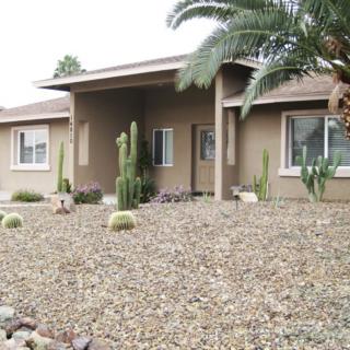 A house with desert landscaping featuring cacti, stones, and a palm tree.