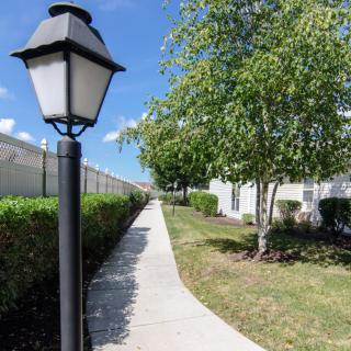 A serene sidewalk lined with a lamp post, trees, and greenery under a clear blue sky.