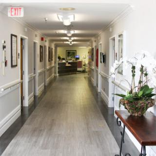 A well-lit hallway with decorative plants and a welcoming atmosphere.