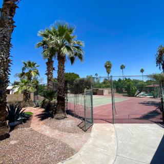 A serene outdoor tennis court surrounded by palm trees under a clear blue sky.