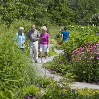 A group of people walking along a garden path surrounded by lush greenery and colorful flowers.
