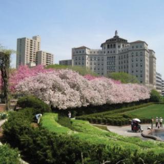 A vibrant spring day in the city, showcasing blooming flowers and modern architecture.