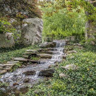A small cascading waterfall flowing over rocks surrounded by lush greenery.