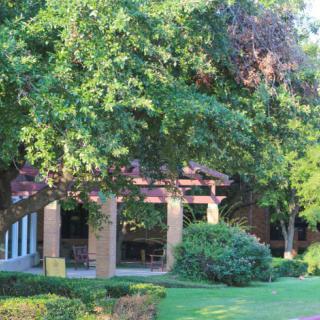 A peaceful garden scene featuring lush greenery and a building with an open, shaded area.