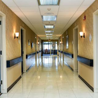 A well-lit, modern hallway in a professional setting.